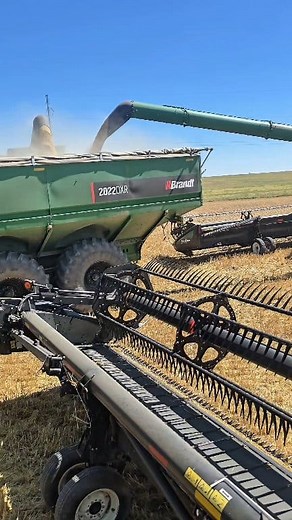 564K views · 6.2K reactions | Finished the field so we all unload on the grain cart before we move. All the grain is weighed off each field of our farm. #truck #harvest #farm #farmlife | 1HandnFarming | Facebook