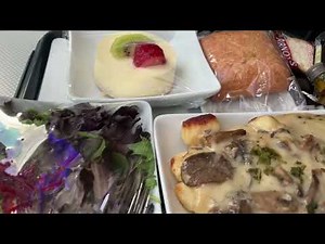 American Airlines Boeing 787-9 Premium Economy Review AA72