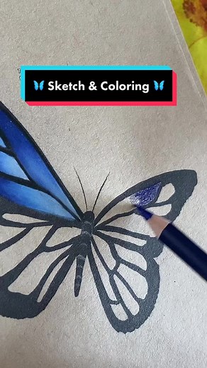 Butterfly Sketch & Coloring Tutorial