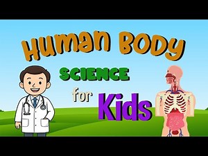 Human Body | Science for Kids