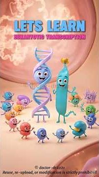 Eukaryotic Transcription Step by Step | RNA Polymerase, Spliceosome & More Explained #science