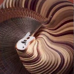 4.8K views · 54 reactions | In a world that only sees guitars as acoustic or electric, the American Acoustasonic Jazzmaster dares to be both, neither and something new entirely. Learn more here: https://bit.ly/2SxZ7Ut | Fender | Facebook