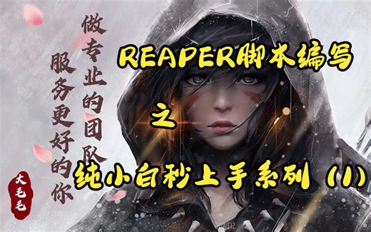 REAPER脚本编写之纯小白秒上手系列（1）