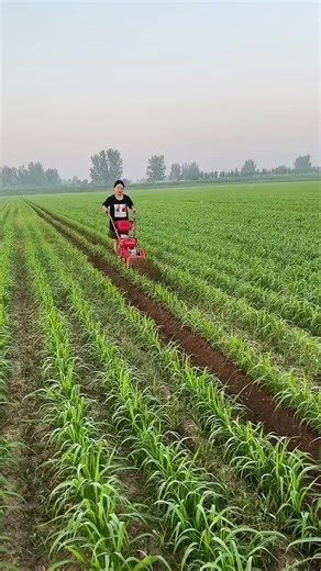 Multifunctional gasoline lawn mower # multifunctional rotary tiller # lawn mower # lawn mower