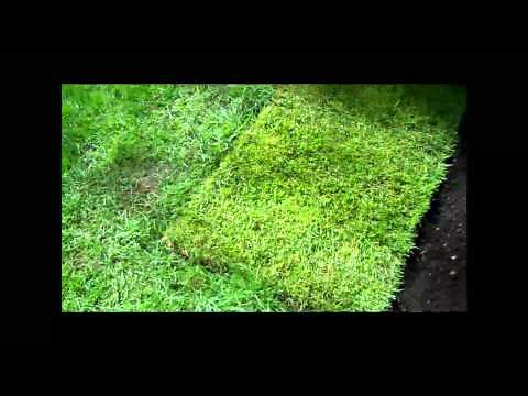 How To Lay Sod