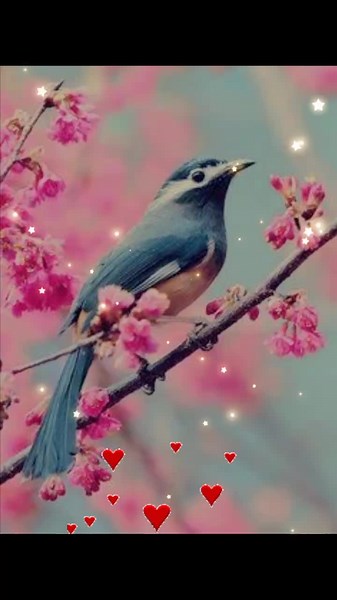 Captivating Springtime Scenes of Birds Interacting