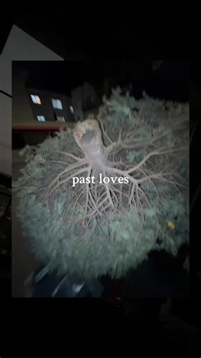 maybe I should have slept in instead …. 🥹 #fypageシ #nostalgia #autumn #cold