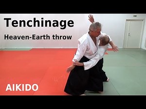 Aikido technique TENCHINAGE against grip and strike attacks, by Stefan Stenudd