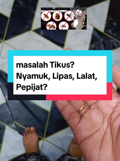 Effective Solutions for Common Pest Problems