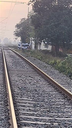 Bihar Wildlife Series Day 21 🚩 | The Poaching Syndicate Exposed! 🏹 #anshugiri #biharwildlife