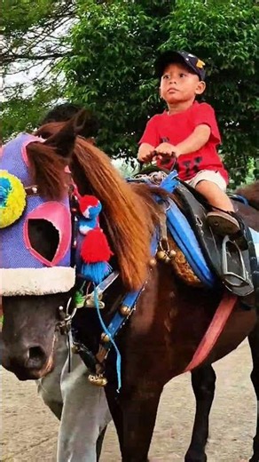 Riding a Special Horse-Drawn Carriage ~Popular Children's Song #horse #childrensong #horsedrawnca...
