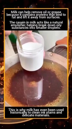 Use Milk to remove Grease in Cooking Oil #facts #fun_facts #knowledge #science #nature #milk