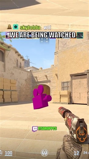 Why Is There a Random Camera?