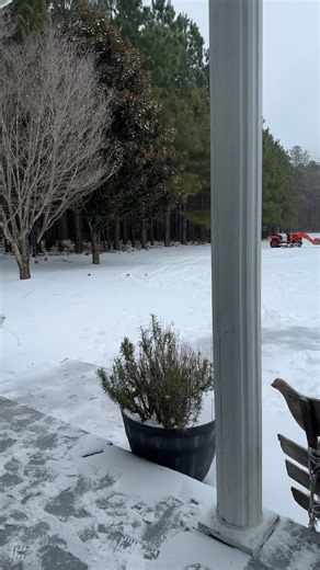 Discover the Joy of Birdwatching: A Guide to Birds