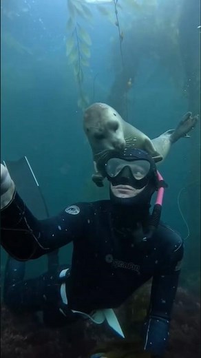 underwater scuba women 🤩 #ytshortsvideo #underwateractivities #viralvideoshorts #travelytstudioes