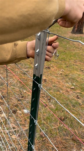 ❓Which one do you choose? Easy ties have their purpose not sure that they’re always the right choice for a t post. My opinion is, it depends on the wire profile. We do use them on the bottom strand, especially if we have a 12 1/2 gauge that we are joining with the bottom wire, clips don’t seem to be big enough for that. I wanted to show a side-by-side comparison of the two. 🤷‍♂️ #FencingSolutions #fencebuilding #FenceInstallation #jesuslovesyou | Cowboy Construction