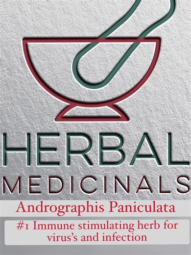 Andrographis Paniculata - Our number one herb for stimulating our immune system and battling viral infections