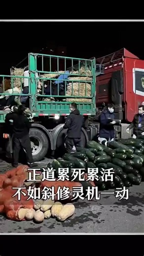 Spring Spring on Reels