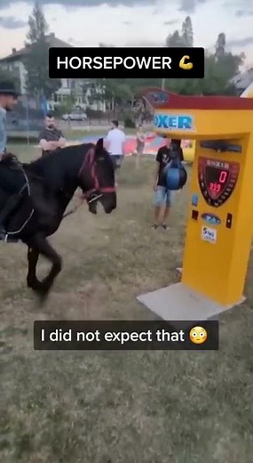 What Happens When Horse Meets PUNCH MACHINE?