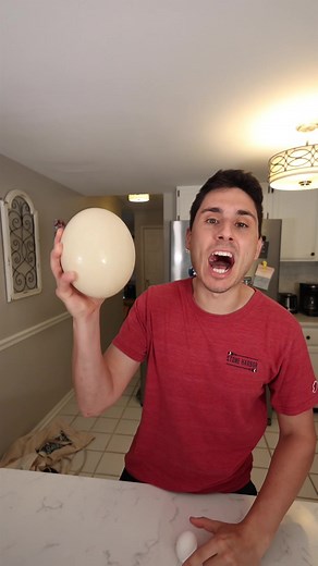Eating an Ostrich Egg! #tfgvlogs #ostrichegg