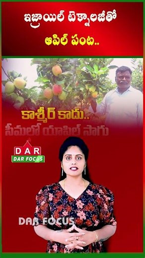 Andhra Farmer Shocked Everyone - Apple Farming in Extreme Heat | Latest updates | DAR FOCUS