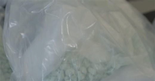 Canadian police seize record-breaking 46 kilograms of fentanyl in Windsor