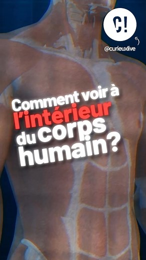 Comment réussir à voir l’intérieur de nos corps ? Les IRM, les échographies, sont des solutions bien connues, mais si on veut voir à une échelle encore plus microscopique, comment faire ? Claire Lefort, chargée de recherche CNRS à l’institut de recherche XLIM de l’Université de Limoges, travaille sur la microscopie multiphotonique de pointe afin d’observer et comprendre le système musculaire ! Corentin nous parle plus en détail de ses recherches en vidéo ! Vidéo réalisée en collaboration commerc