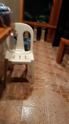 Abelia Rodriguez (@abeliarodriguez)’s videos with original sound - relaxenjoyrepeat