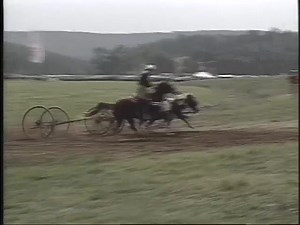 69 reactions · 17 comments | Here are some highlights from Rodeo Bloopers 8! Brought to you by your friends from Rodeo Video! To get this complete video please contact Rodeo Video at 1800-331-1269 or at www.rodeovideo.com! | National Finals Rodeo DVDs | Facebook