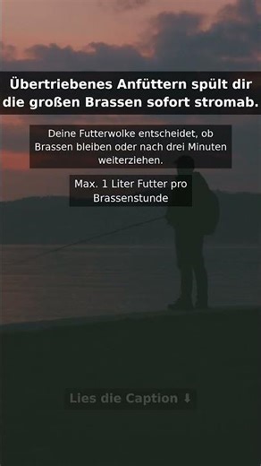 Mit diesem Futter verjagst du jede Brasse