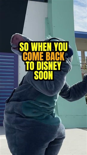 Disney Did ya know. Magic Bands.