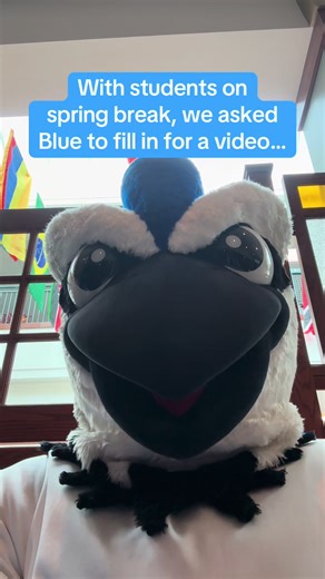 Blue's Spring Break Adventure at E-Town College