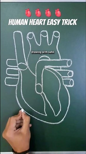 Easy to draw heart diagram | how to draw heart diagram easily #heart #humanheart #shorts #shortsfeed