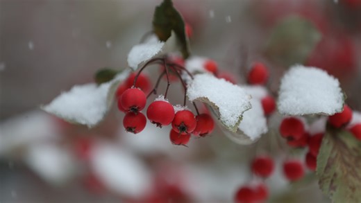 How much snow did we get? Iowa snowfall totals hit 5 inches