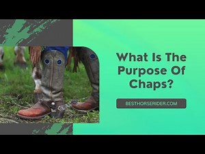 What Is The Purpose Of Chaps?