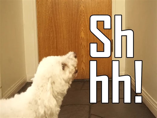 This tinyML system helps soothe your dog's separation anxiety with sounds of your voice | Arduino Blog