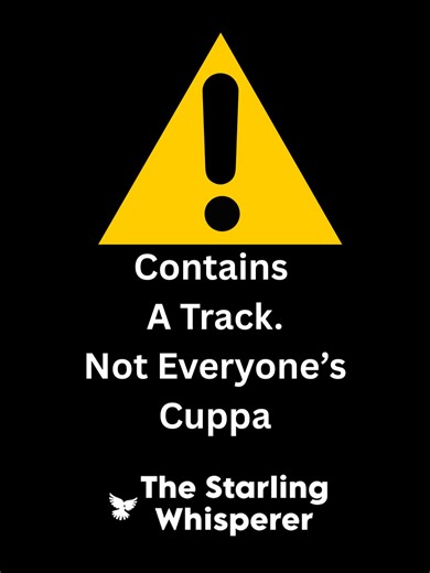 Season 18, In Full Flow! Starling Murmurations #starling #starlings #murmuration #birdwatching #fyp