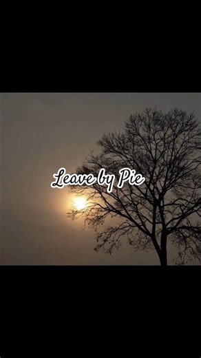 if promises were meant to be kept | Pie | Leave #officiallyricvideo