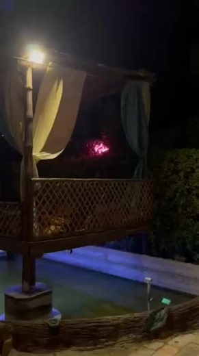 BlackGoldFarmHouse (@blackgoldfarmofficial)’s videos with original sound - BlackGoldFarmHouse