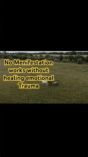 All the meditations work when you start your healing journey #shortsfeed #emotionaltrauma #healing