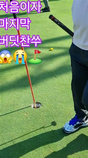 토마쑤형님😱#타이거우즈#맥길로이#빅토르호블란#쉐플러#저스틴토마스#존람#가르시아#김효주#박세리#박찬호#이승엽#이정후#박상철#조영우#김시우#김주형#장유빈#황유민#박인비 #golf#골프