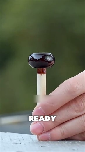 How Toxic Tree Sap Becomes Something Amazing