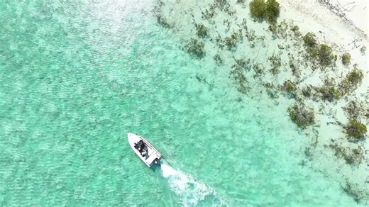 Tune into Eyewitness News Bahamas LIVE | Tune into Eyewitness News Bahamas LIVE This video features materials protected by the Fair Use guidelines of Section 107 of the Copyright Act. All rights reserved to the copyright owners. Broadcast Material is Copyright @ Verizon Media Group 2022. Any illegal reproduction of this content will result in immediate legal action. | Eyewitness News Bahamas