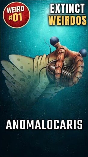 Extinct Weirdos – Anomalocaris #shorts #anomalocaris #weirdanimals
