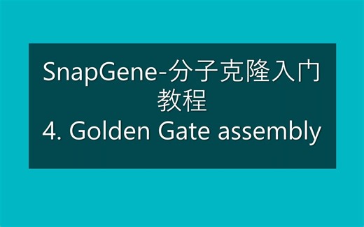 SnapGene-分子克隆入门教程 4. Golden Gate Assembly