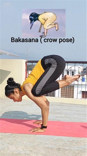 Can You Hold This Bakasana? 🐦 #bakasan #yoga #exercise #advance #shorts #yogeshwari #explore