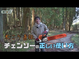 [Lumberjack] How to use a chainsaw correctly [Real Forestry]