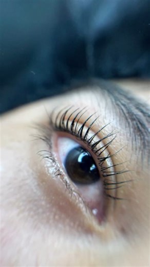 DLUX PROFESSIONAL on Instagram: "Professional lash lift, made simple. The DLUX Lash Lift Kit helps you create clean, lifted lashes with a natural finish and dependable results for your clients. Formulated with amino acids to support lash condition during the lifting process, it delivers smooth curl formation without over-processing. Ideal for lash professionals who value consistent results and healthy-looking lashes. Results by @massiel_studio #dluxprofessional #luxurylashes #effortlessbeauty #l