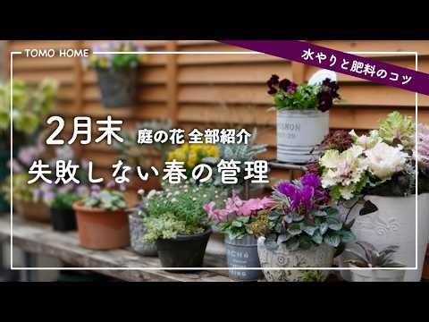 Tips for caring for flowers now that it's warmer - Introducing all the flowers on your terrace