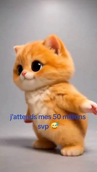 #humour #argent #chat #dance